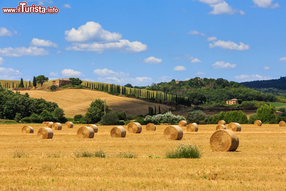 Immagine Campi con balloni di fieno nella regione toscana di Siena, Italia.