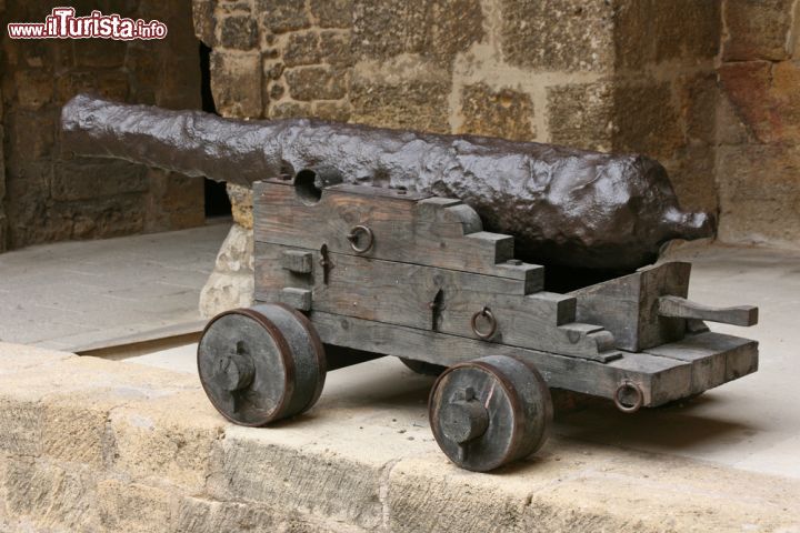 Immagine Un vecchio cannone dell'esercito francese all'interno dello Château de l'Empéri, il castello che domina la cittadina di Salon-de-Provence - foto © sigurcamp / Shutterstock.com