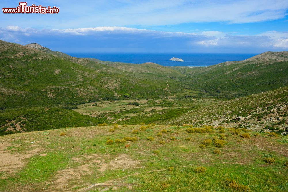 Immagine Cap Corse e l'isola di Giraglia, Corsica, nei pressi di Rogliano. L'isola si trova all'estremità settentrionale del Capo Corso ed è un centro di pesca al corallo.