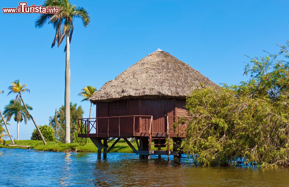 Immagine I turisti possono soggiornare nelle capanne sull'acqua del resort Villa Guamà, presso la Laguna del Tesoro (provincia di Matanzas, Cuba).