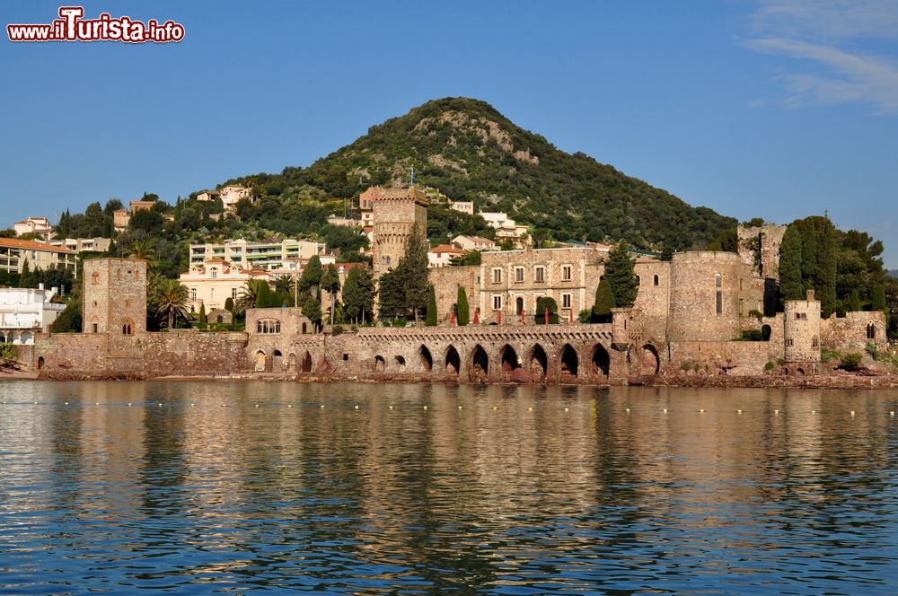 Immagine Capitale della mimosa, Mandelieu-la-Napoule (Francia) si trova sulla Route du Mimosa che collega Grasse a Bormes-les-Mimosas.