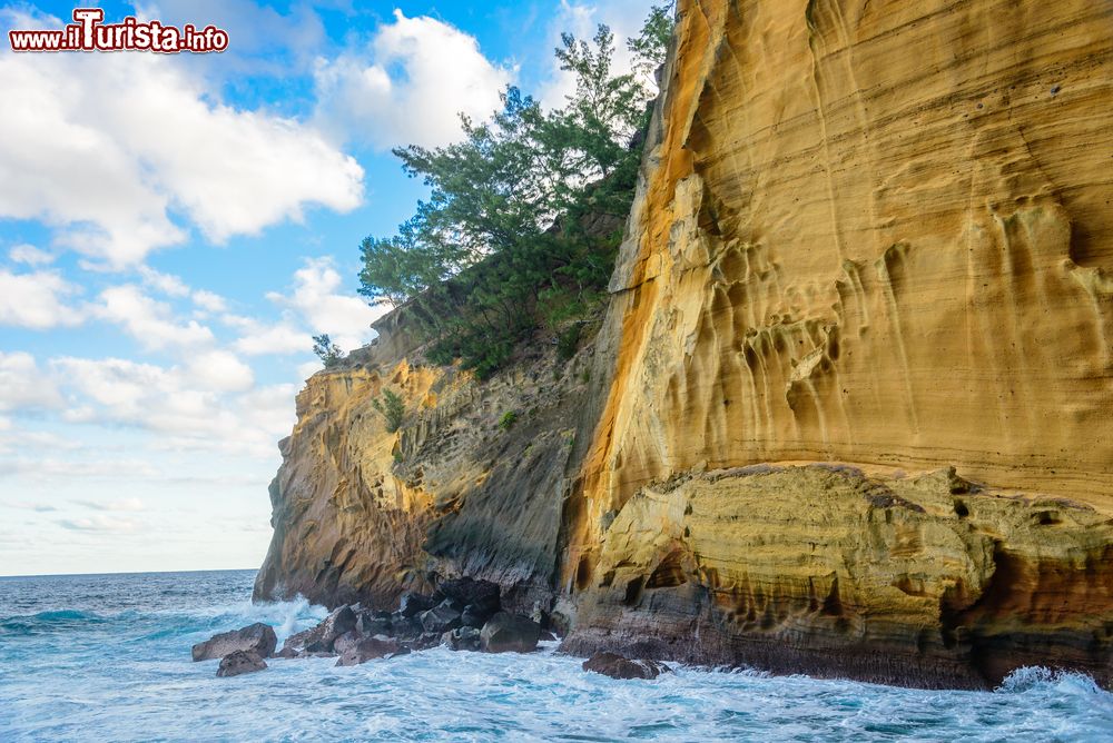 Immagine Capo Giallo a Vincendo sull'isola de La Réunion, Isole Mascarene. Qui la natura è aspra e rigogliosa.