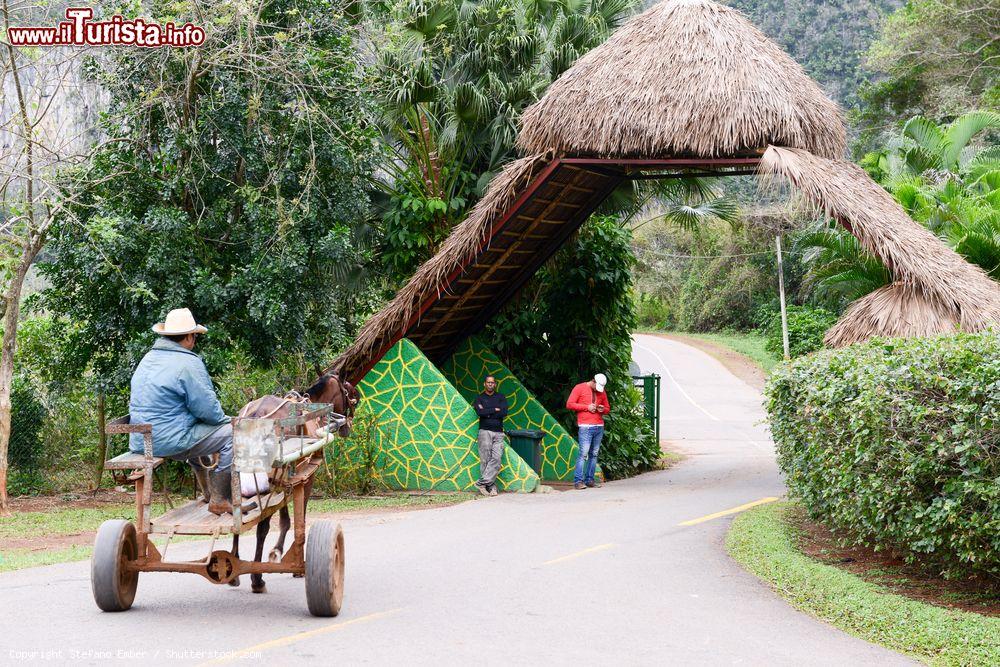 Immagine Un carretto trainato da un cavallo su una strada delle campagne della Valle de Viñales (Cuba) - © Stefano Ember / Shutterstock.com