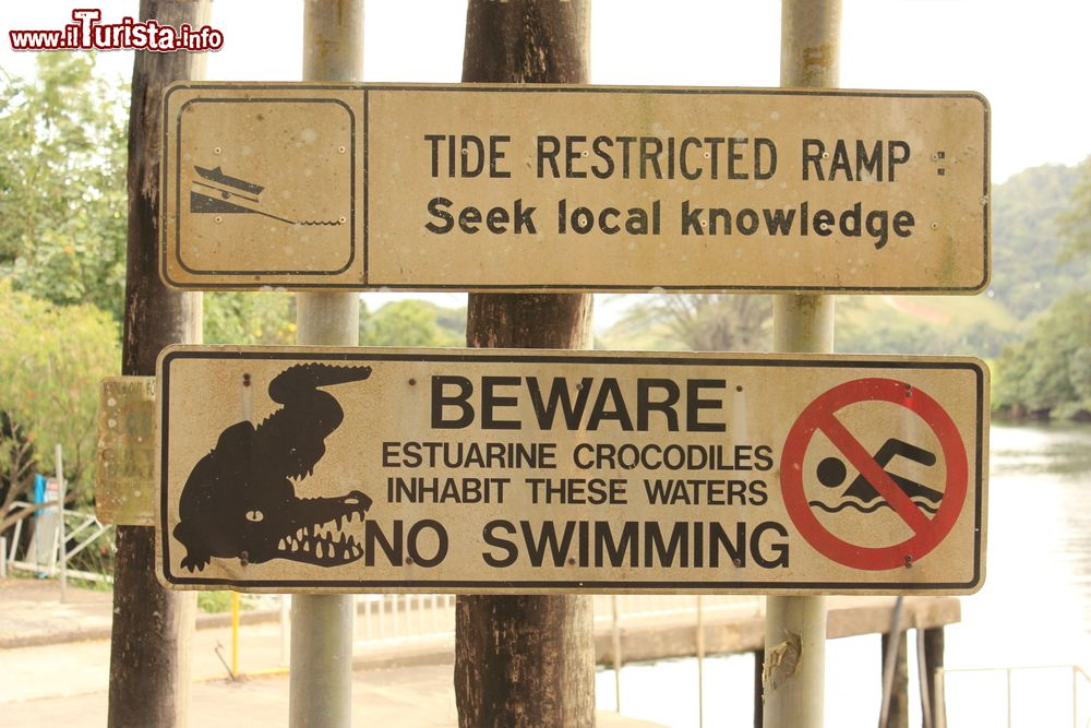 Immagine Cartello di attenzione ai coccodrilli nel Daintree National Park, Australia. Per via della presenza dei coccodrilli è vietato nuotare nelle acque dei fiumi che attraversano il parco nazionale.