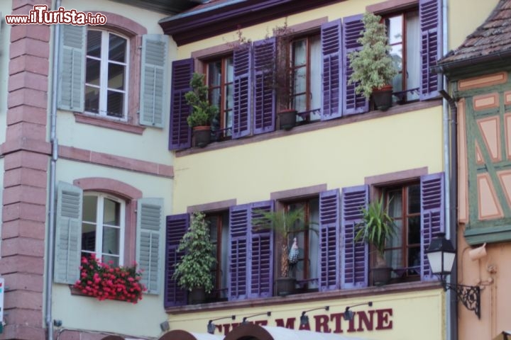 Immagine Casa a gradiccio con persiane viola a Ribeauvillé  - © Matteo Emiliani