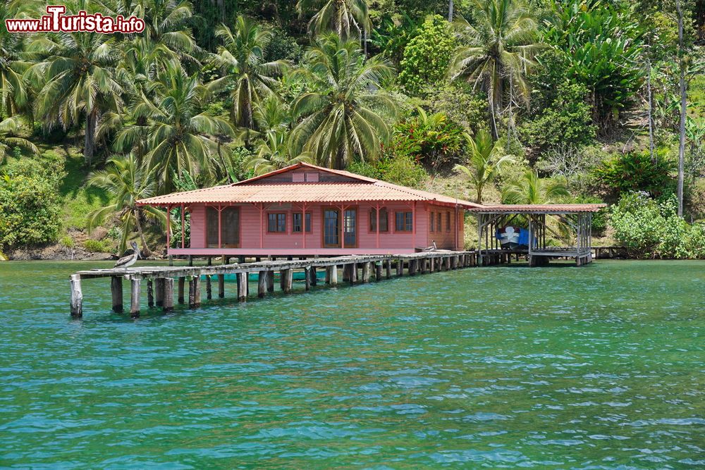 Immagine Una tipica casa caraibica con attracco per le barche sull'acqua e la foresta come sfondo, Bocas del Toro, Panama.