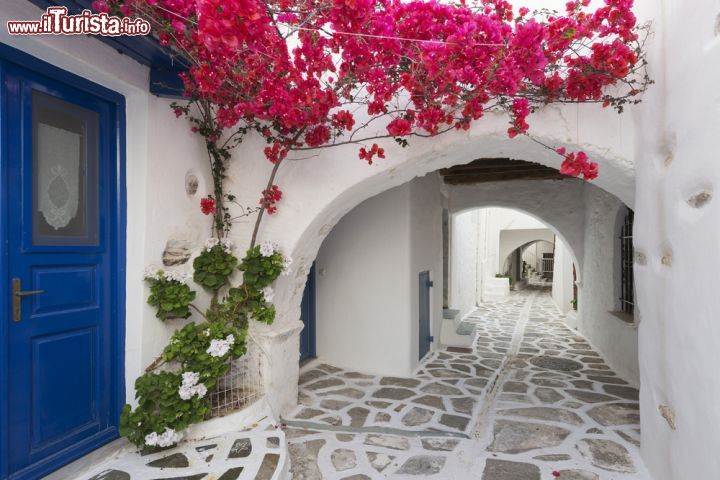 Immagine Casa tradizionale a Paros, Cicladi. Mura bianche, infissi blu e fiori dalle tonalità più vivaci rappresentano il suggestivo scorcio architettonico che si può ammirare passeggiando lungo le strette stradine ciottolate dell'isola - © Haris vythoulkas / Shutterstock.com