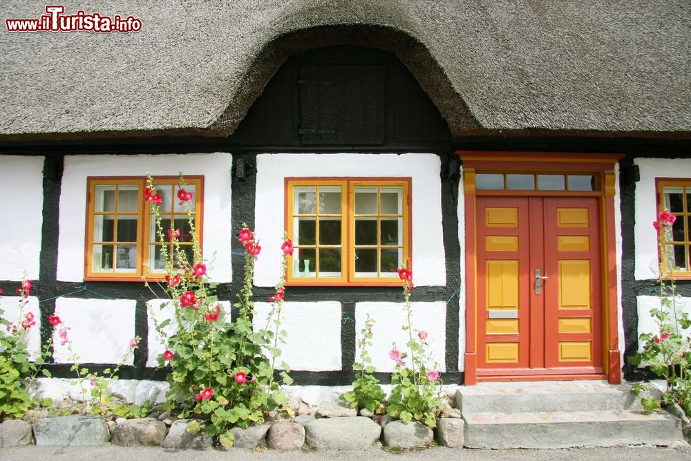 Immagine Casa tradizionale danese nel villaggio di Samso in Danimarca