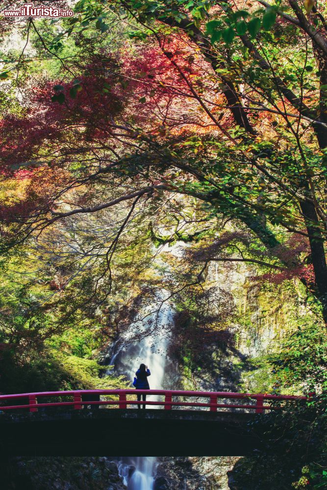 Immagine Cascata di Minoh in autunno a Osaka, Giappone.