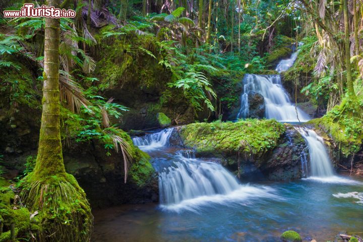 Immagine Cascata nella vegetazione tra le montagne di Big Hawaii, la grande Isola di Hawaii
