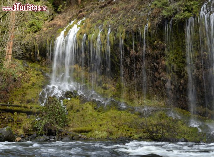 Immagine Cascate di Mossbrae a Sacramento, nord California - Alte circa 16 metri e larghe poco più di 50, queste cascate alimentate da sorgenti cadono lungo le pareti del canyon e nel fiume Sacramento creando un suggestivo paesaggio. Per aggiungere Mossbrae waterfall si può percorrere un sentiero che segue i binari dell'Union Pacific Railroad: lo spettacolo è assicurato © Loree Johnson / Shutterstock.com