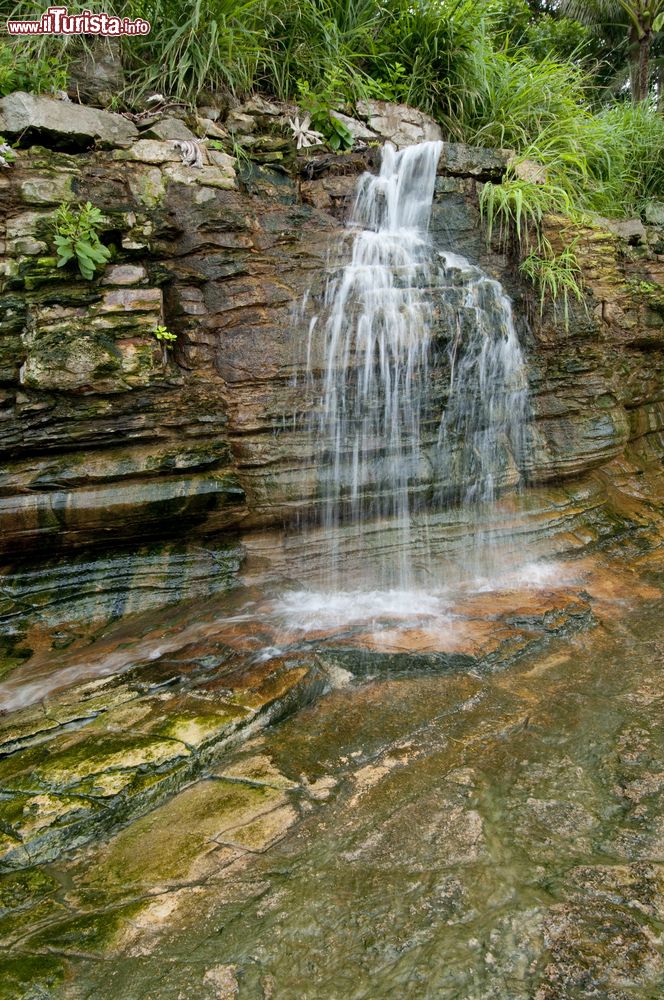 Immagine Una cascatella sulle rocce nella foresta dell'isola di Pacheca, Las Perlas. Questo arcipelago che conta circa 220 isole è uno scrigno di rara bellezza.