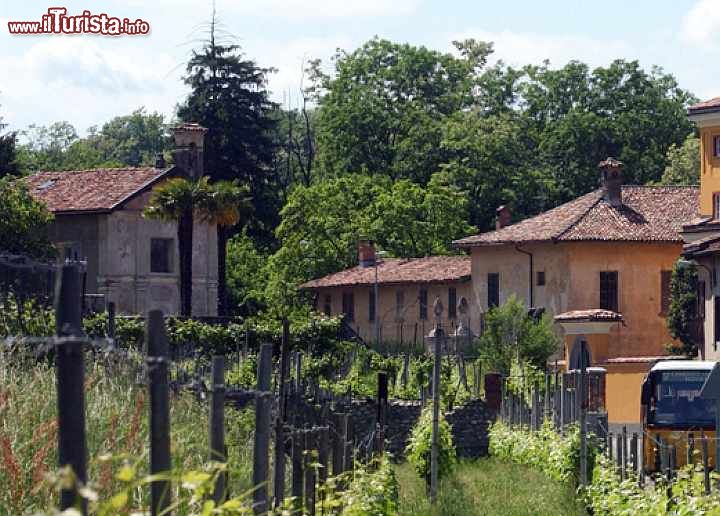 Immagine Case e vigne in centro al borgo di Novazzano nel Canton Ticino- © Comune di Novazzano