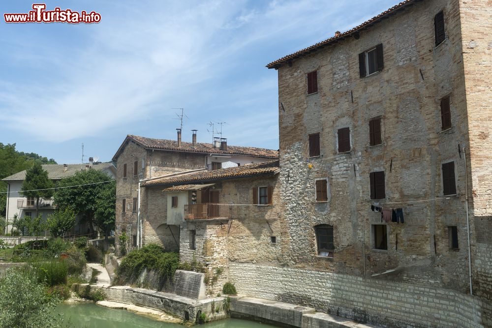 Immagine Case e palazzi del centro storico di Pergola (Marche)