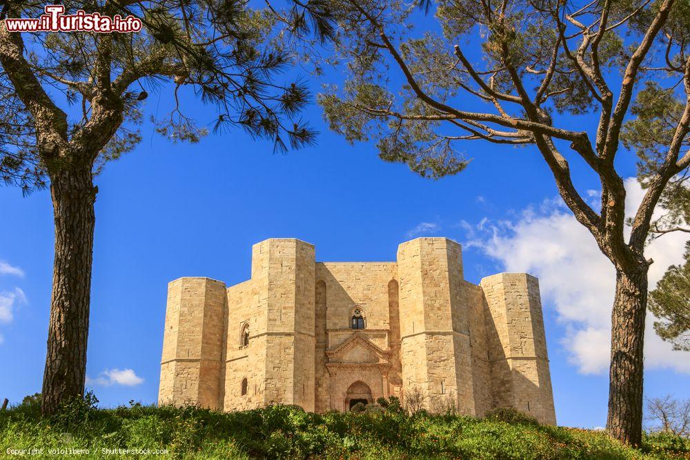 Immagine Castel del Monte vicino ad Andria: uno dei simboli della Puglia - © vololibero / Shutterstock.com