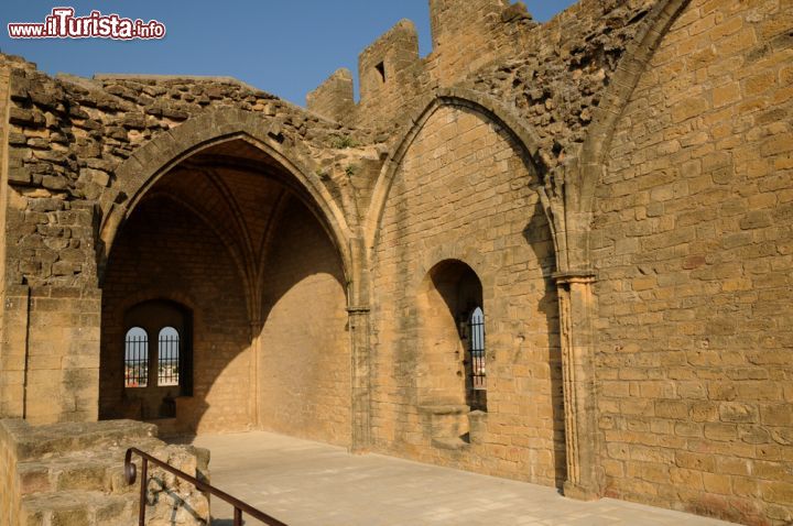 Immagine Lo Château de l'Empéri fu edificato inizialmente nel X secolo, per poi essere ricostruito interamente nel XIII secolo. Siamo a Salon-de-Provence, in Francia - foto © Pack-Shot / Shutterstock.com