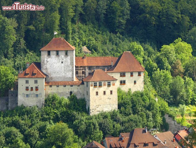 Immagine Un Castello nei pressi di Feldkirch nella regione Voralberg in Austria - © puchan / Shutterstock.com