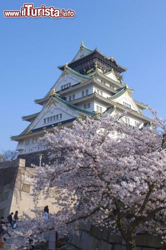 Immagine Il Castello di Osaka risale alla fine del XVI secolo e fu costruito da Toyotomi Hideyoshi, il signore della guerra che soggiogò il Paese (Giappone).