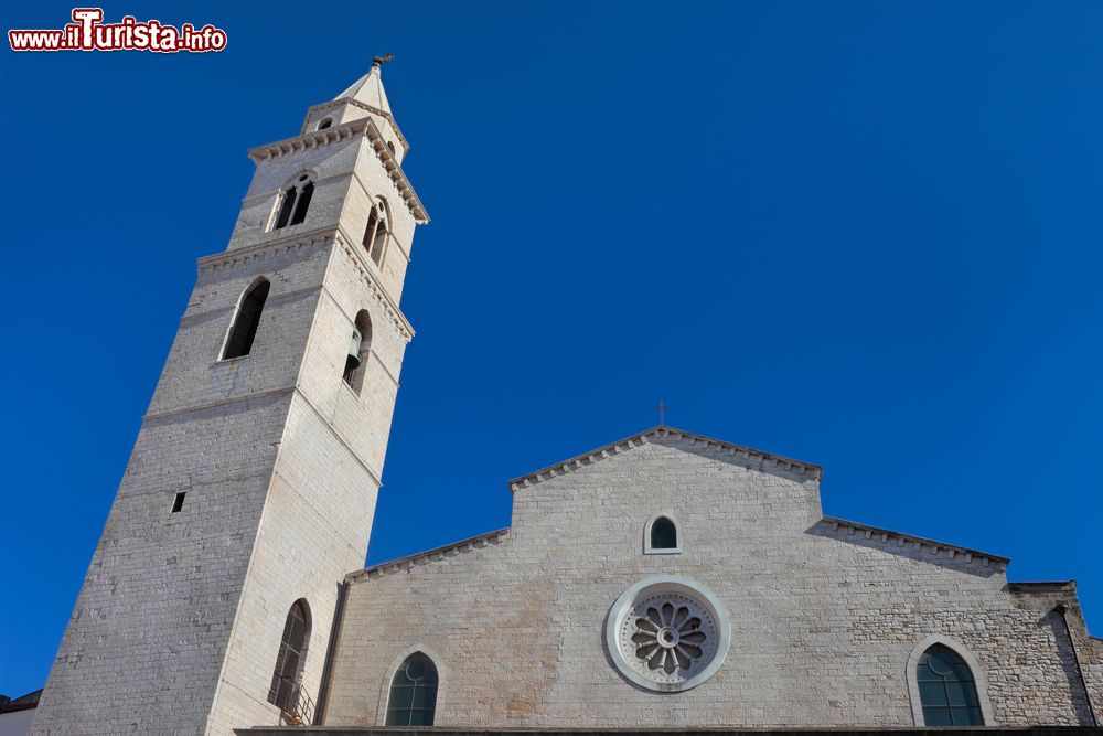 Immagine La parte superiore della facciata e il campanile della Cattedrale (chiesa di Santa Maria Assunta) di Andria, Puglia.