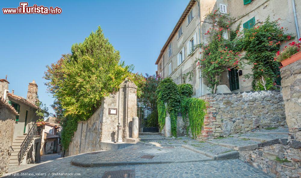 Immagine Il centro storico medievale di Anguillara Sabazia, provincia di Roma, Lazio - © Stefano_Valeri / Shutterstock.com