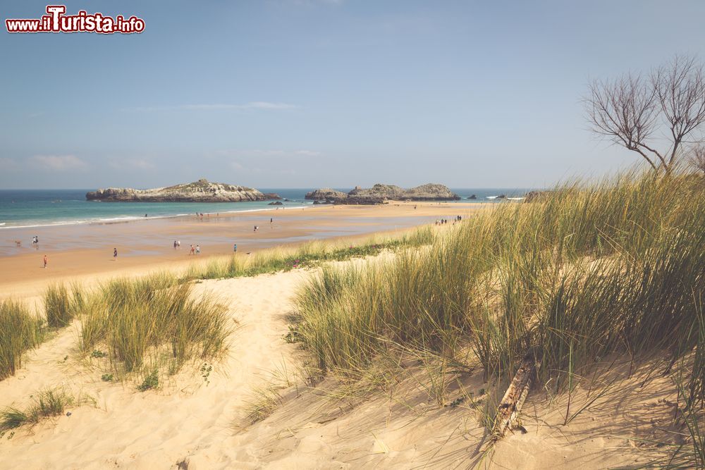 Immagine Cespugli sulla spiaggia di Cuarezo nei pressi di Noja, Cantabria, Spagna.