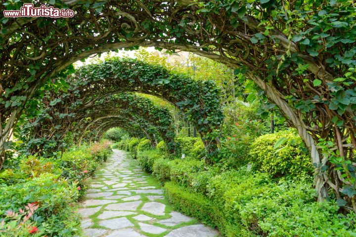 Immagine Charleston è una città molto tranquilla e ricca di aree verdi dove rilassarsi e concedersi una pausa dopo una giornata passata a scoprire i suoi mille volti - foto © TungCheung / Shutterstock.com