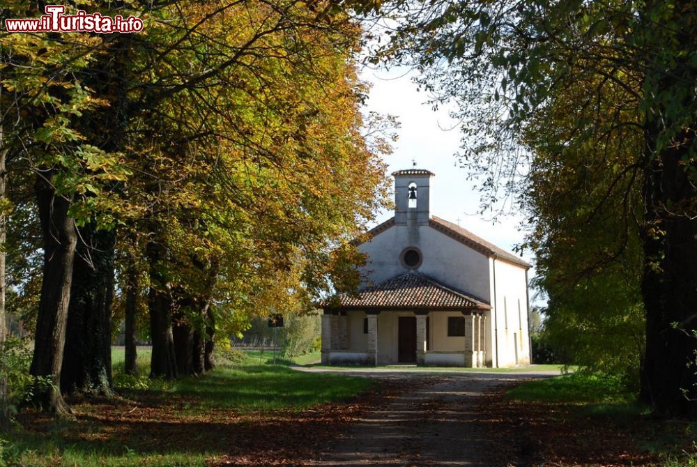 Immagine La chiesa di San Rocco, uno dei monumenti architettonici di Morsano al Tagliamento in Friuli - © Lorenzo Bianchini / mapio.net