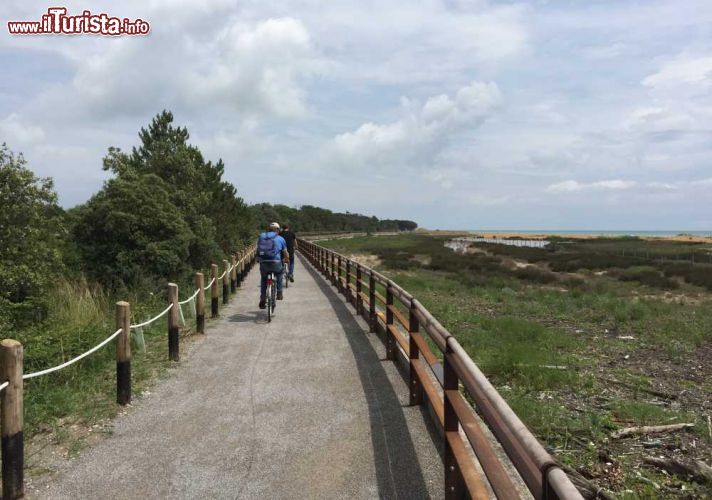 Immagine Cicloturismo a Bibione sulla pista ciclabile in riva al mare