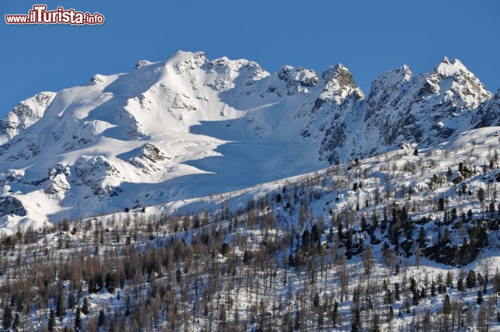 Immagine Cima Piazzi dalla Val Viola vicino a Arnoga Alta Valtellina