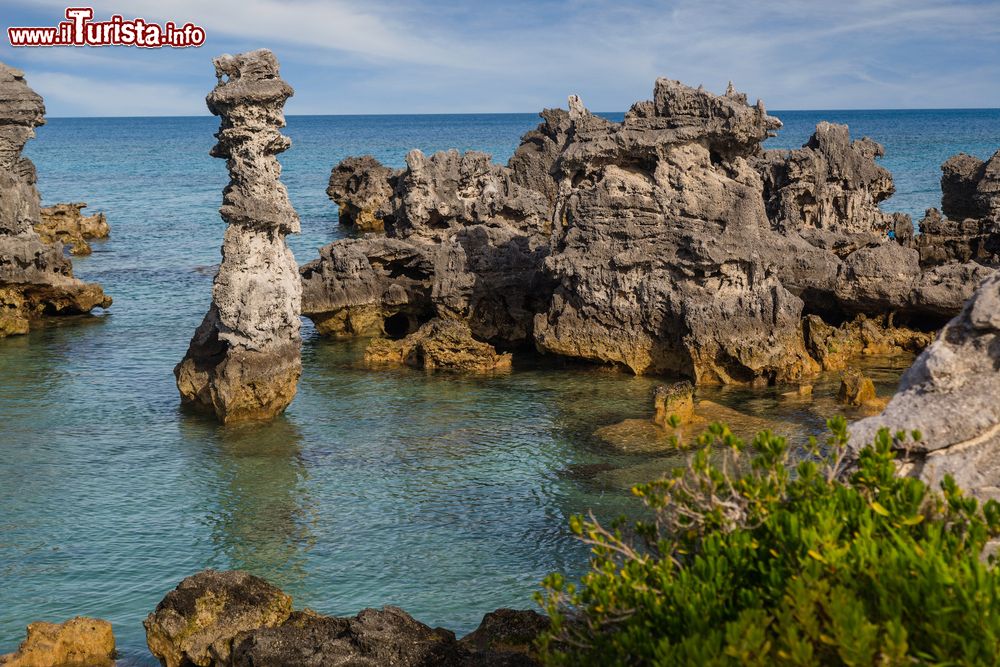 Immagine Colonne di calcare a Tobacco Bay, Bermuda. Siamo in una delle zone più celebri dell'arcipelago: grazie alle sue acque cristalline e poco profonde, Tobacco Bay è forse la migliore spiaggia in assoluto per chi pratica snorkeling.