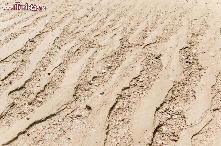 Immagine Conchiglie sulla sabbia in una spiaggia di Nosy Komba (Nosy Ambariovato) nel nord-ovest del Madagascar - foto © lenisecalleja.photography / Shutterstock.com