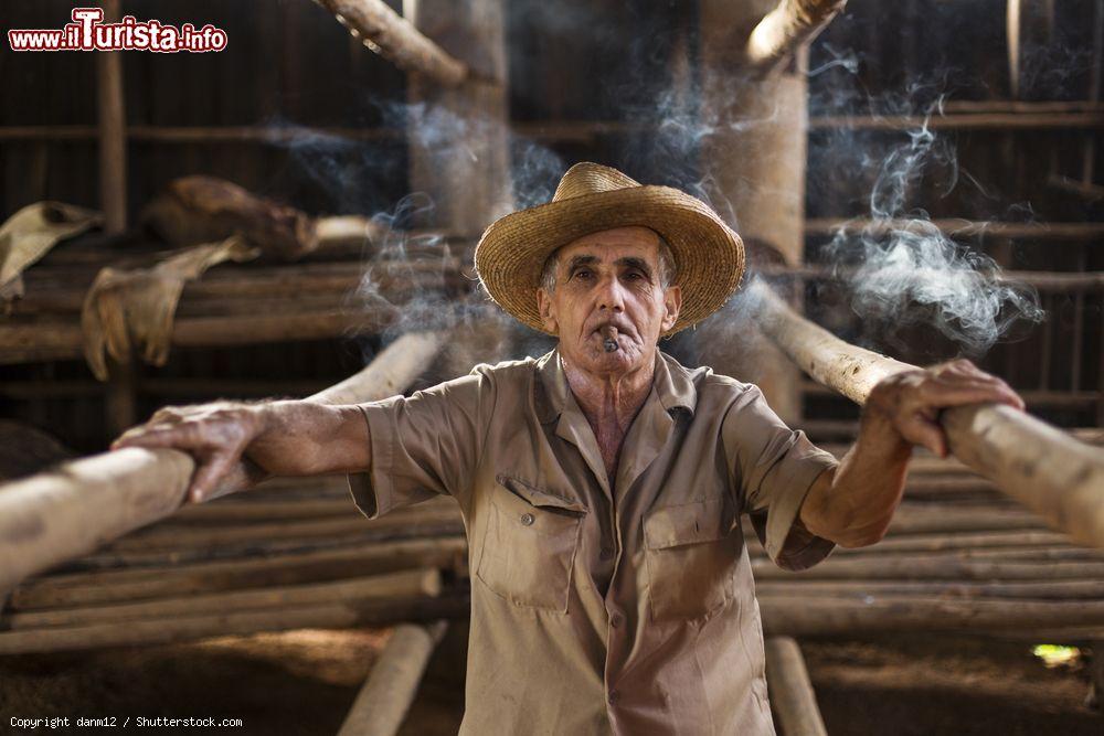 Immagine Un contadino di Viñales (Cuba) all'interno della sua casa de tabaco, dove sono fatte essiccare le foglie di tabacco - © danm12 / Shutterstock.com