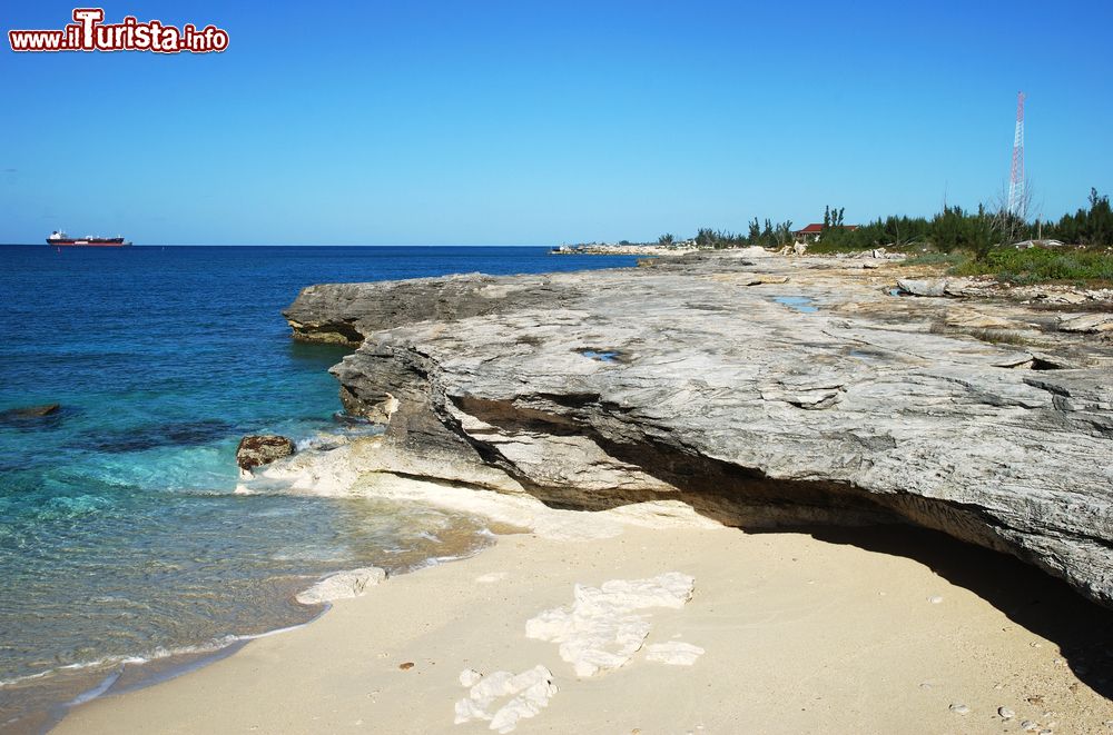 Immagine La costa rocciosa erosa nei pressi del porto di Freeport, isola di Grand Bahama.