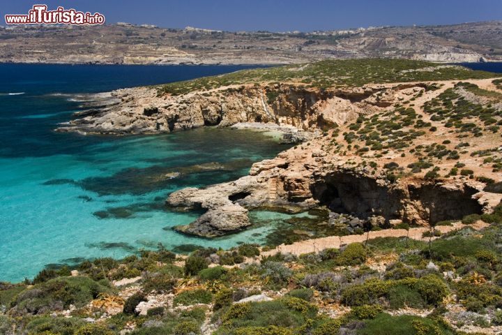 Immagine Costa dell'isola di Comino, Malta - Macchia mediterranea, mare e roccia: sono questi i tre elementi che rendono Kemmuna una delle isole più suggestive del canale di Gozo. La sua bella costa frastagliata scende sino ad incontrare le acque limpide del Mediterraneo © Steve Allen / Shutterstock.com