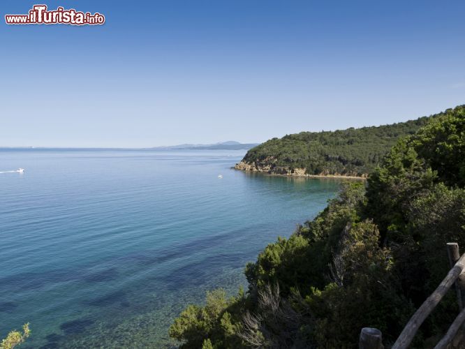 Immagine Un tratto di costa rocciosa a sud di Follonica, in provincia di Grosseto. Il tratto di litorale della Maremma ospita alcune delle spiagge più belle della Toscana - foto © Shutterstock