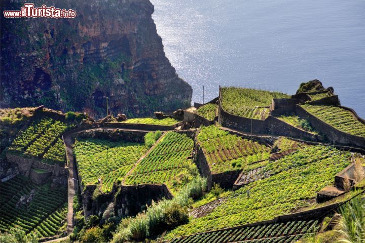 Immagine Vista panoramica sulla Costa Sud di Madeira (Portogallo) - Ampie forme geometriche che non sono severe ma al contrario, sono ammorbidite dal verde rigoglioso della natura: questa è un'immagine altamente rappresentativa della Costa Sud di Madera. Ordinata senza essere rigida, pulita senza essere spoglia, generosa sulla vista a strapiombo sul mare senza esserne completamente dipendente. Chiunque si ritrovi ad ammirarne le peculiarità così unite e al tempo stesso lontane tra loro, non può che meravigliarsi di uno spettacolo naturale tanto (con)vincente - © Alena Brozova / Shutterstock.com