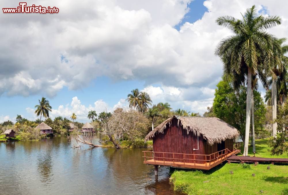 Immagine Le capanne presso Villa Guamà, sulla Laguna del Tesoro, nella zona meridionale della provincia di Matanzas, Cuba.