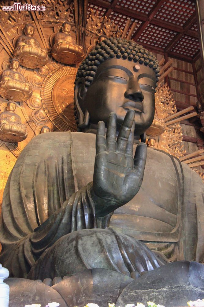 Immagine Daibutsu, la più grande statua in bronzo di Buddha del Giappone: siamo a Nara nel tempio di Todaiji.