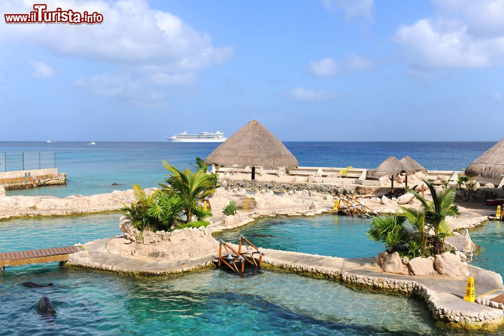 Immagine Il delfinario di Cozumel è unafamosa attrazione dell'isola caraibica messicana - foto © Shutterstock.com