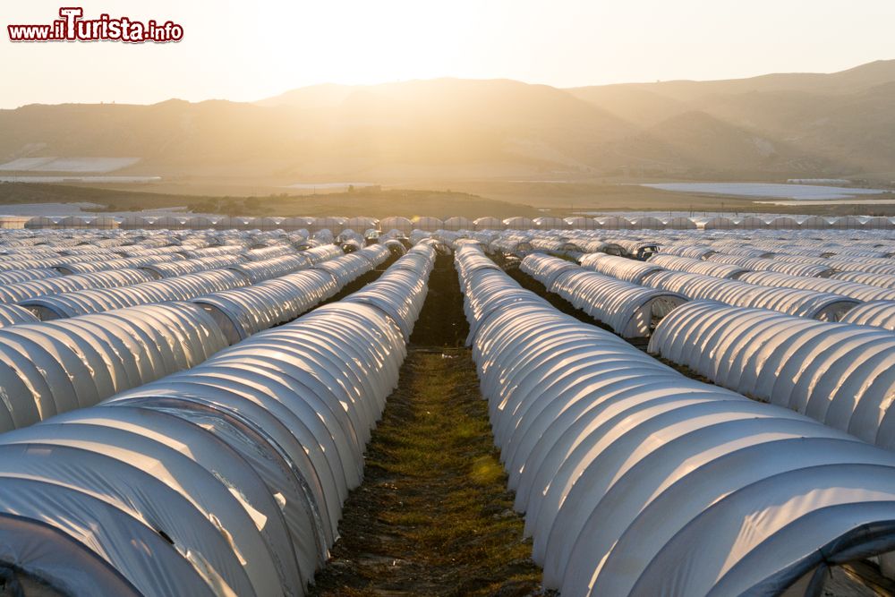 Immagine Delle serre nella fertile pianura di Gela in Sicilia