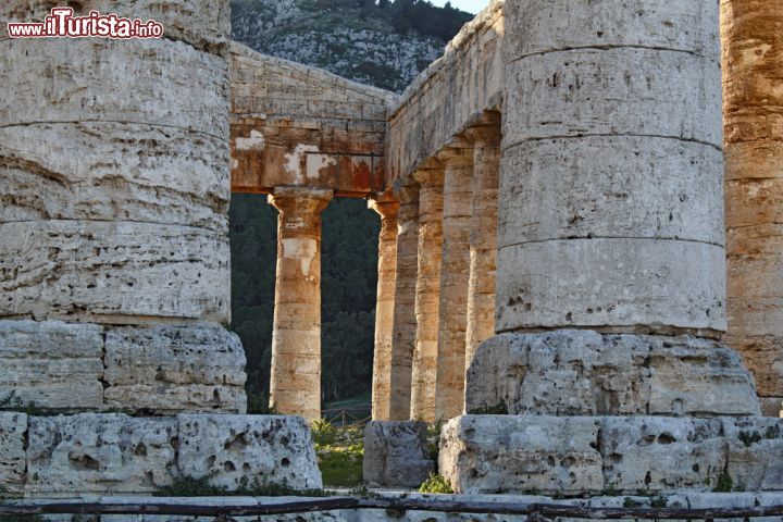 Immagine Il tempio Greco di Segesta, in stile dorico, conta di 36 colonne e relativa trabeazione- © Angela Crimi / Shutterstock.com