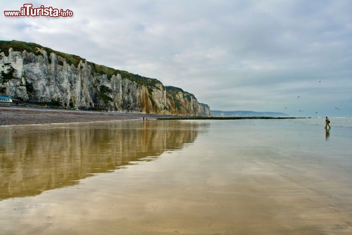 Immagine Le spettacolari falesie della Costa d'Alabastro, fotografata a Dieppe, la città costiera dell'Alta Normandia sulla Manica - © Alexei Novikov / Shutterstock.com