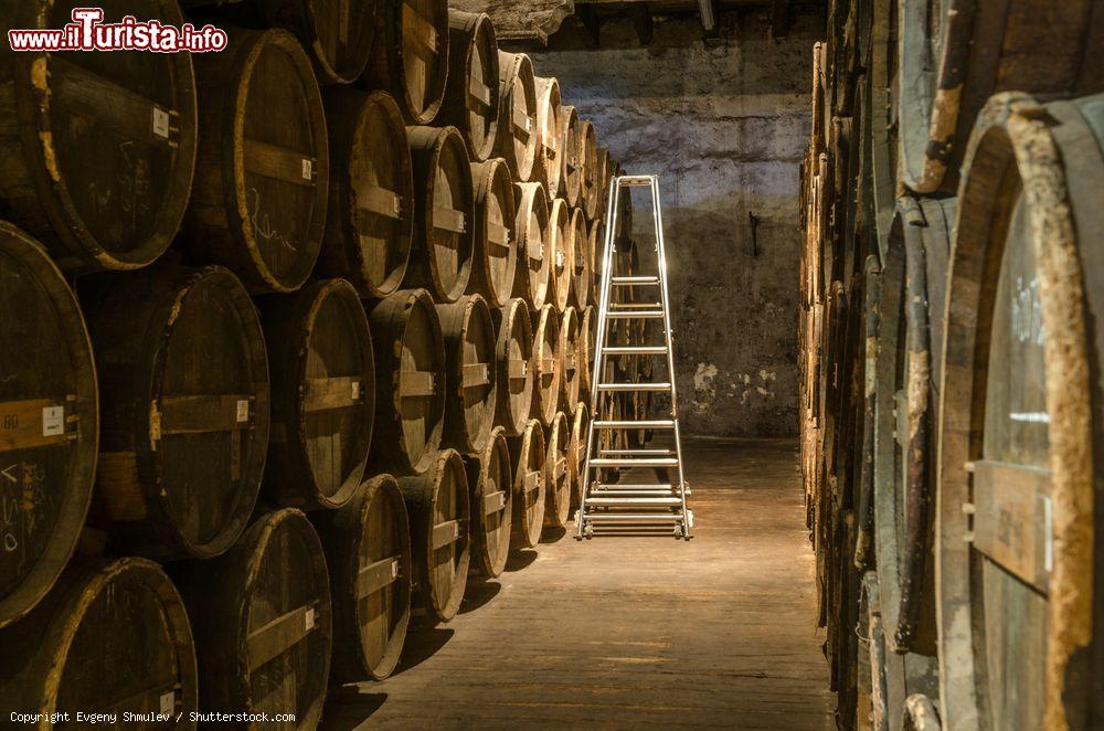 Immagine Distillerie Otard a Coganc, Nuova Aquitania, Francia: le botti in legno nelle cantine dell'azienda produttrice di liquore - © Evgeny Shmulev / Shutterstock.com