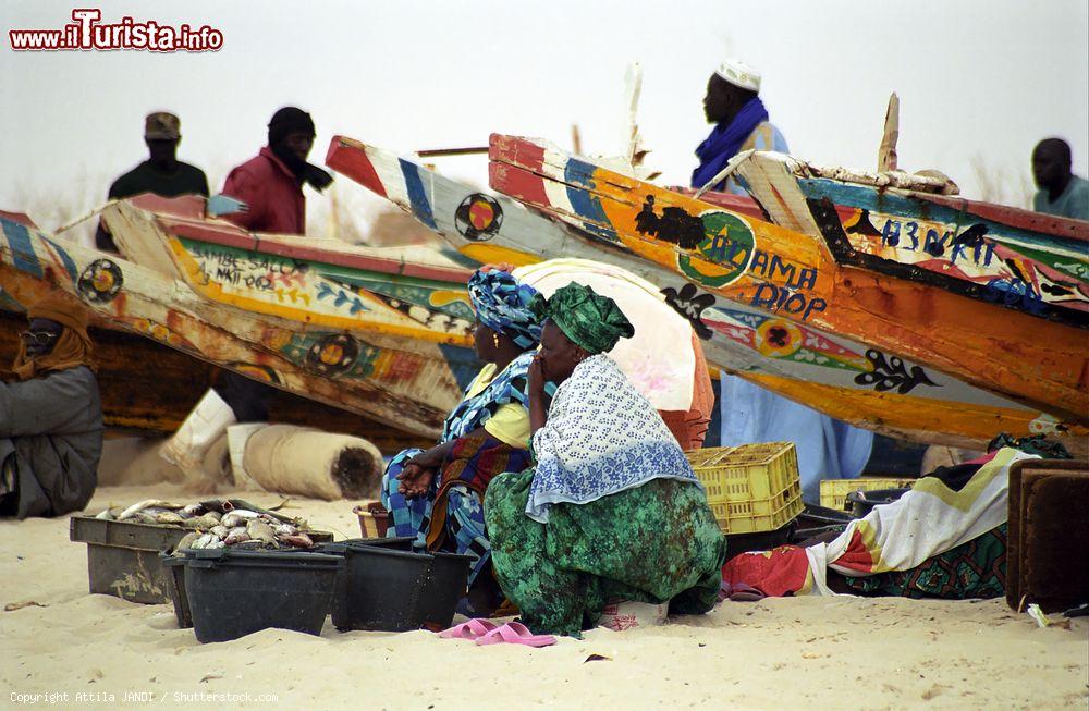Immagine Donne mauritane puliscono il pesce sulla spiaggia a Nouakchott, Mauritania. Il pesce fresco viene venduto tutti i giorni sulla spiaggia - © Attila JANDI / Shutterstock.com