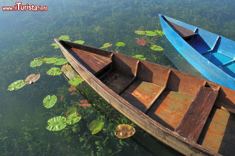 Immagine Due barche in legno ormeggiate nel lago Plav, Montenegro.