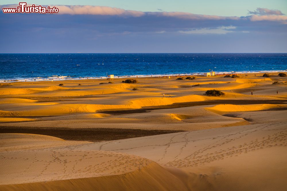 Immagine Le dune di sabbia di Maspalomas, nel sud dell'isola di Gran Canaria, sono una delle mete turistiche più famose delle Canarie.