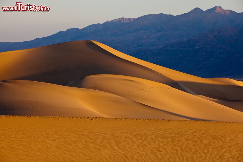 Immagine Le dune di sabbia di Mesquite Flat, Death Valley, California. Alte circa 30 metri, queste dune rappresentano il primo approccio alla Death Valley per i neofiti del parco. Non sono le più alte (per vedere quelle bisogna andare alle Eureka Dunes) ma sicuramente le più accessibili. 