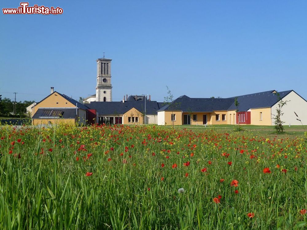 Immagine Edifici e campanile nella cittadina di Montrée, Francia. In primo piano, un campo di papaveri.