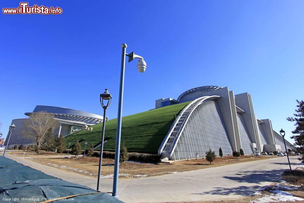 Immagine Un edificio dalle forme moderne all'Inner Mongolia Museum di Hohhot, Cina - © chinahbzyg / Shutterstock.com