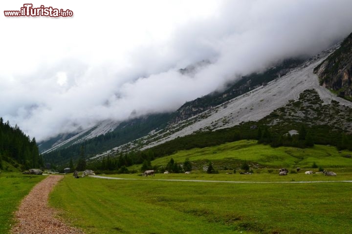 Immagine Monte Elfer: siamo nella Valle dello Stubai, al termine del Sentiero del Tempo, in prossimità della malga Pinnisalm. Il monte domina la vallata proprio al di sopra dell'abitato di Neustift im Stubaital.